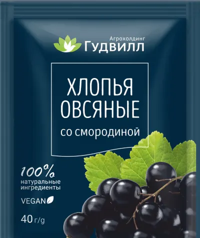 Fulgi de ovaz instanti cu coacaza 40g GOODWILL