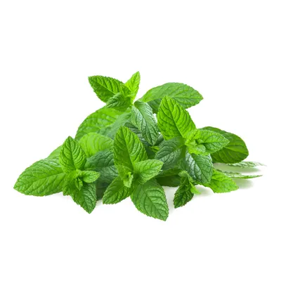 Menta 50g