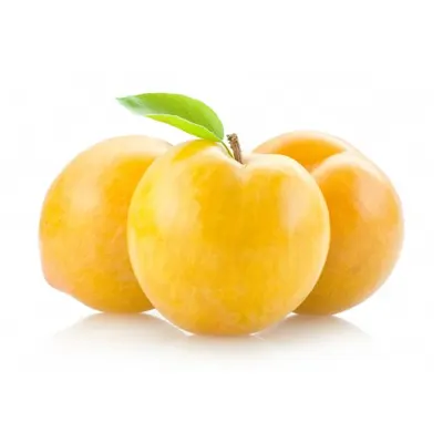 Prune Angelino galbene Moldova
